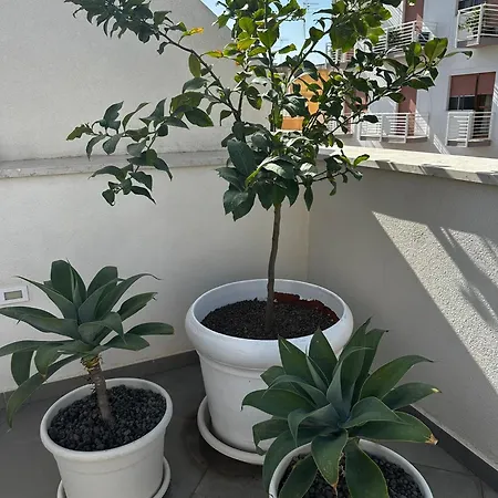 La Brogna - Centro Apartment *